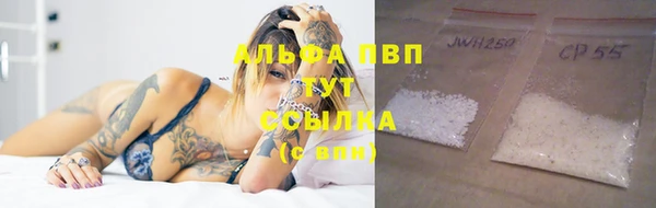 гашик Балахна