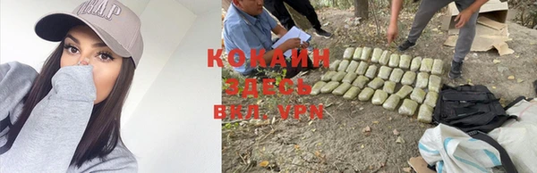 мет Баксан