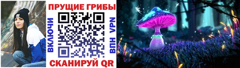Псилоцибиновые грибы ЛСД Барыш