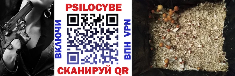 где купить наркотик  Барыш  Псилоцибиновые грибы ЛСД 